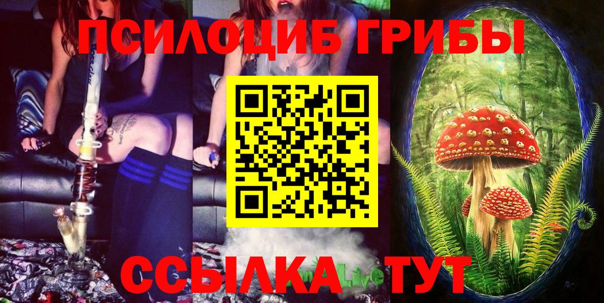 Галлюциногенные грибы GOLDEN TEACHER Новошахтинск
