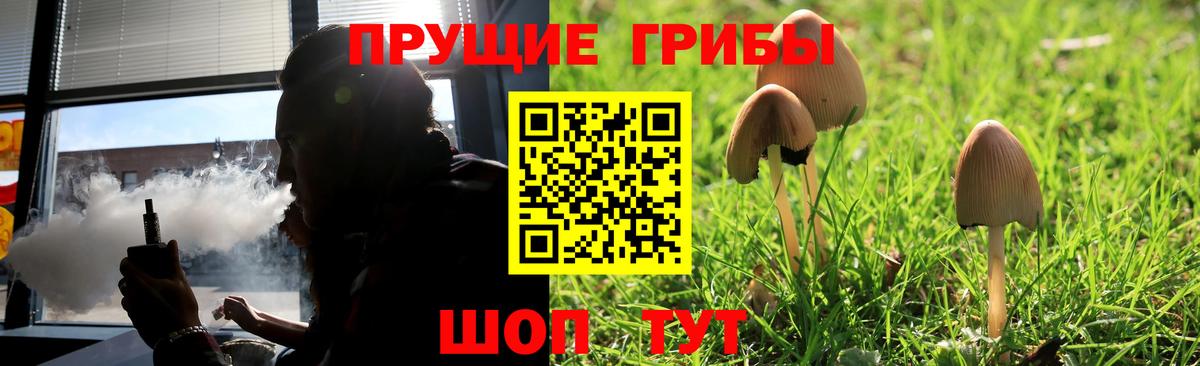 Новошахтинск  Галлюциногенные грибы Magic Shrooms  Вход с VPN 