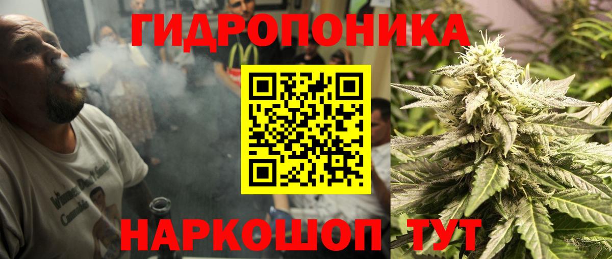 Марихуана Amnesia Новошахтинск